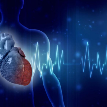 Electrocardiogram em Cambridge / MA